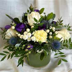 Alba arrangement 
