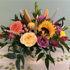 Amber arrangement  