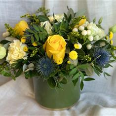 Daisy arrangement 