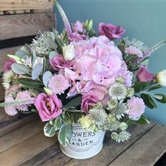 Flossie arrangement
