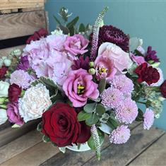 Molly arrangement 