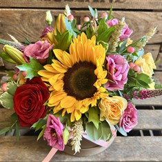 Amber hatbox arrangement 